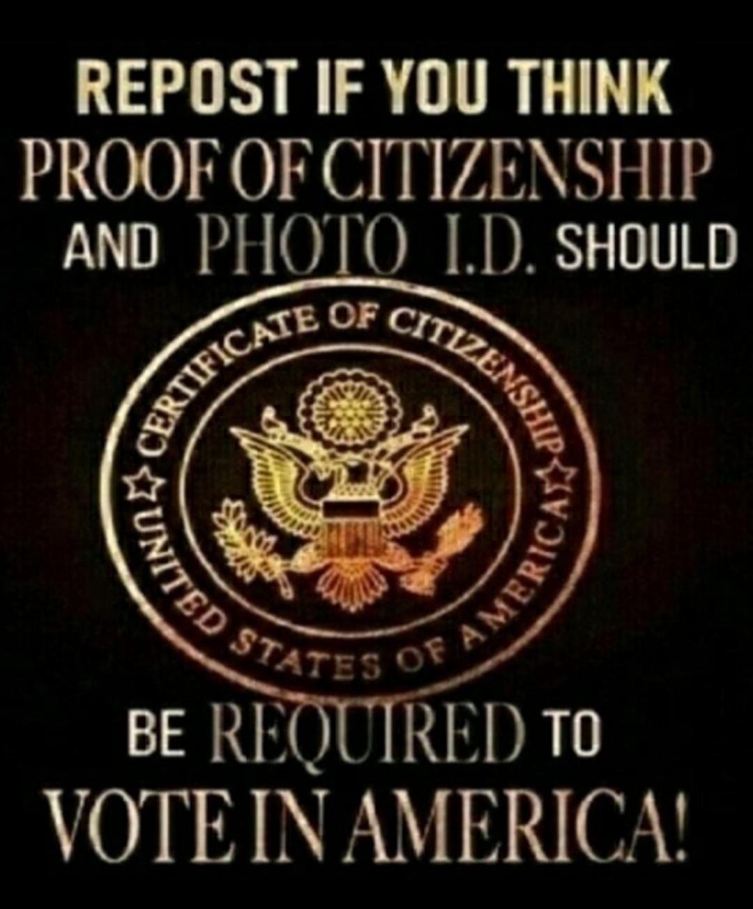 REPOST IF YOU THINK PROOF OF CITIZENSHIP AND PHOTO I.D. SHOULD BE REQUIRED TO VOTE IN AMERICA!