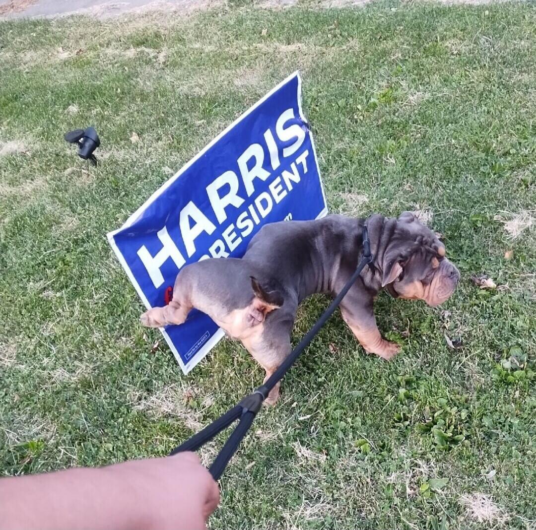 HARRIS PRESIDENT