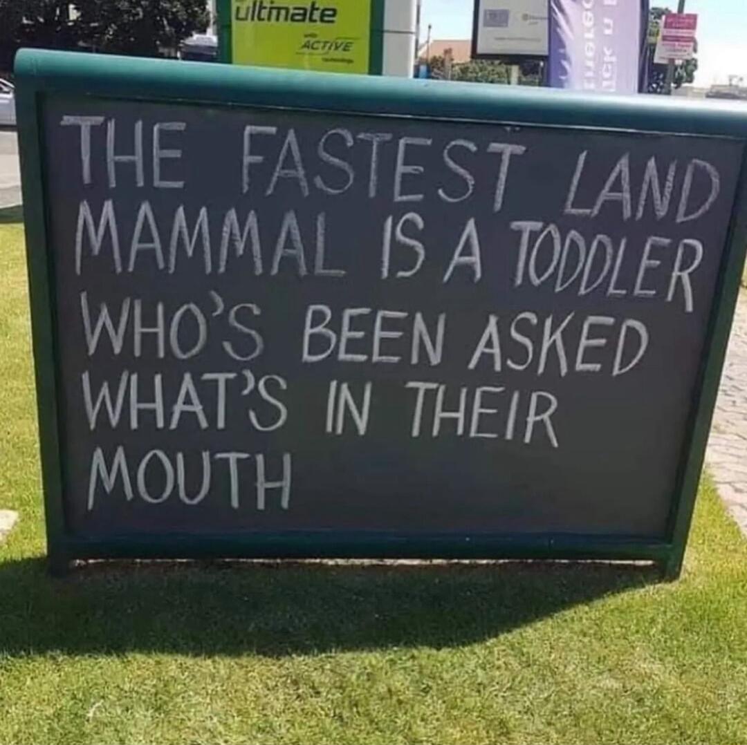 THE FASTEST z4nD MAMMAL 154 Tiep d whos BeEN ASkED WHATS IN THEIR MOUTH