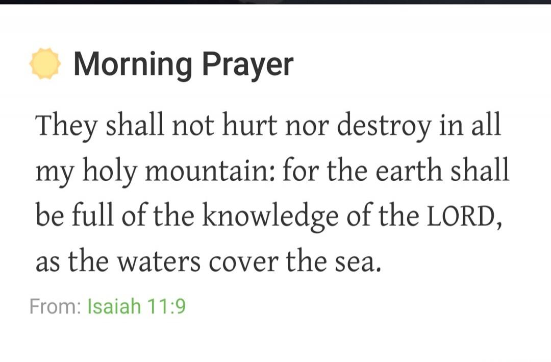 Morning Prayer They shall not hurt nor destroy in all my holy mountain: for the earth shall be full of the knowledge of the LORD, as the waters cover the sea. From: Isaiah 11:9
