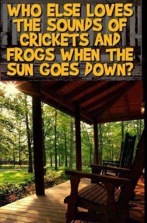 WHO ELSE LOVES THE SOUNPS OF CRICKETSAND FROGS WHENTHE SUN GOES POWN