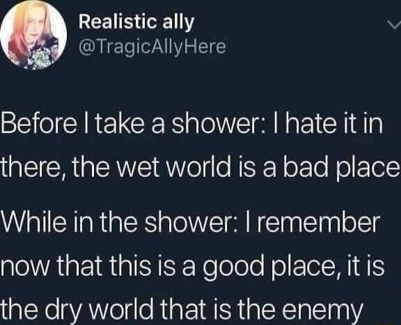 REEI S v TragicAllyHere Before take a shower hate itin there the wet world is a bad place While in the shower remember now that this is a good place it is the dry world that is the enemy