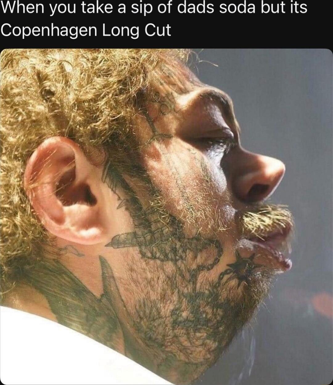 AR eIV R L CRERST ool e t Te Silole R oIVl Q11 6 Copenhagen Long Cut