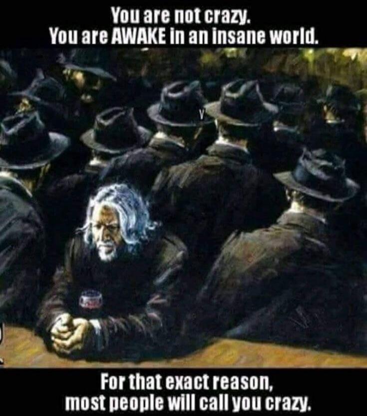 You are not crazy. You are AWAKE in an insane world. For that exact reason, most people will call you crazy.