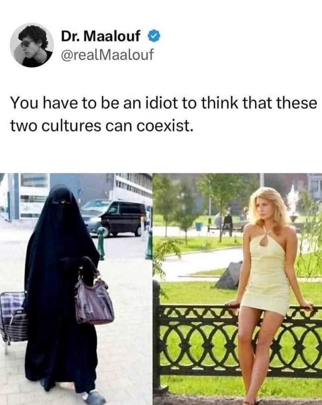 Dr. Maalouf @realMaalouf You have to be an idiot to think that these two cultures can coexist.