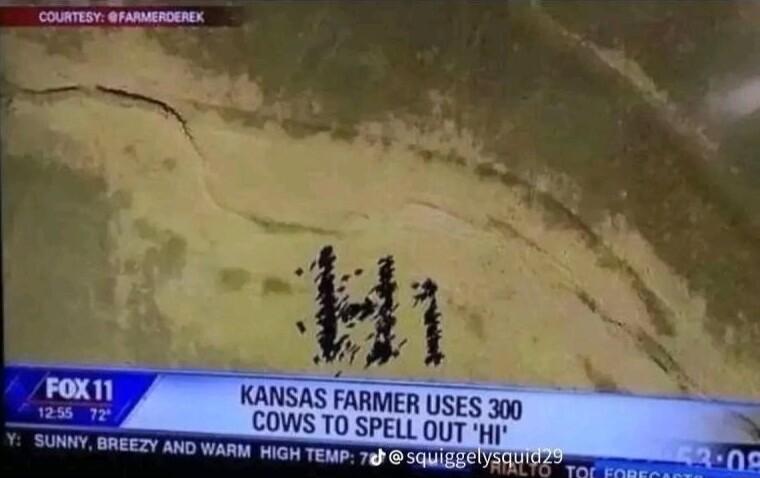 rox KANSAS FARMER USES 300 2 1 COWS T0 SPELL O HI SUNNY BREEZY AND WARM WIGH TEMP 70 SQUIGEETY