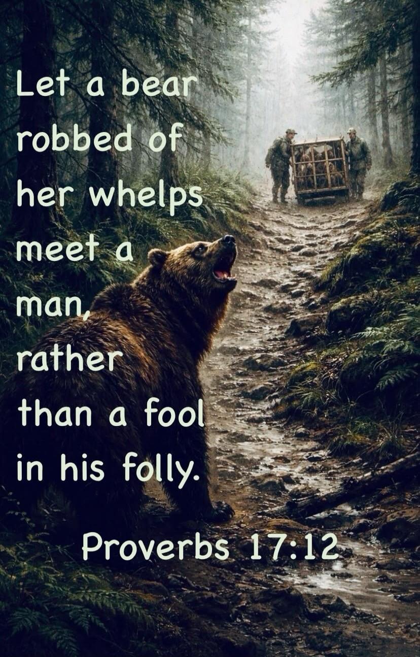 Let a bear robbed of her whelps meet a man, rather than a fool in his folly. Proverbs 17:12
