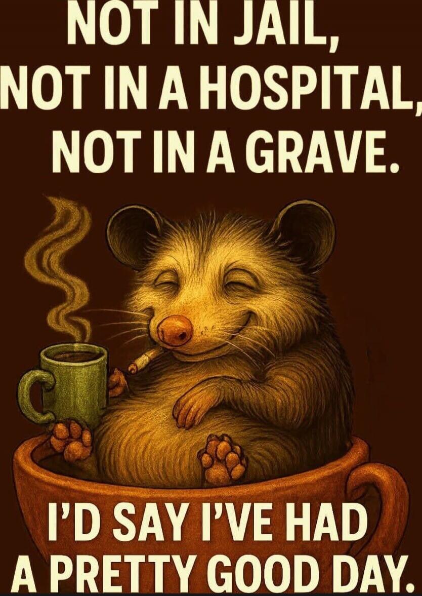 NOT IN JAIL, NOT IN A HOSPITAL, NOT IN A GRAVE. I'D SAY I'VE HAD A PRETTY GOOD DAY.