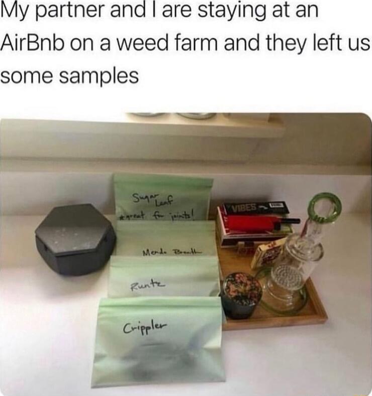 My partner and are staying at an AirBnb on a weed farm and they left us some samples