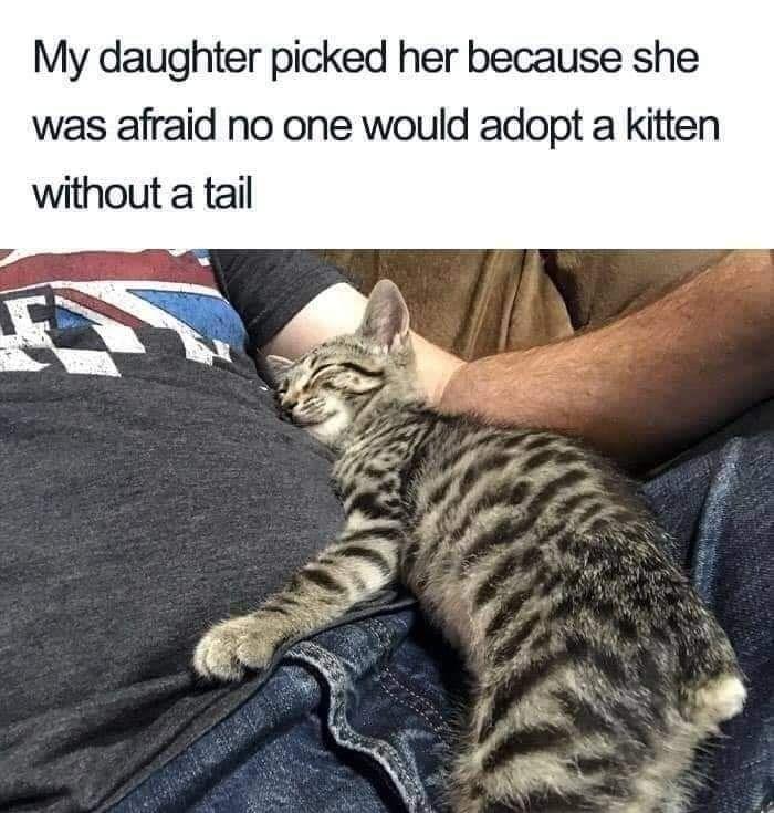 My daughter picked her because she was afraid no one would adopt a kitten without a tail