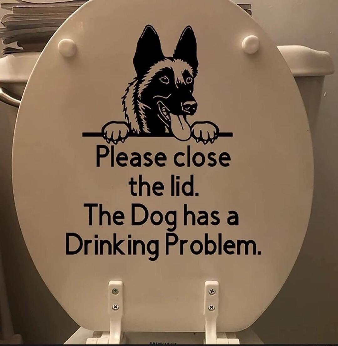 Please close the lid The Doghas a Drinking Problem