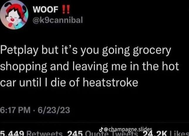 WOOF 1 LETERBILE Petplay but its you going grocery shopping and leaving me in the hot car until die of heatstroke 617 PM 62323 B 440 Ratweate 948 O Jechampagnesliges o