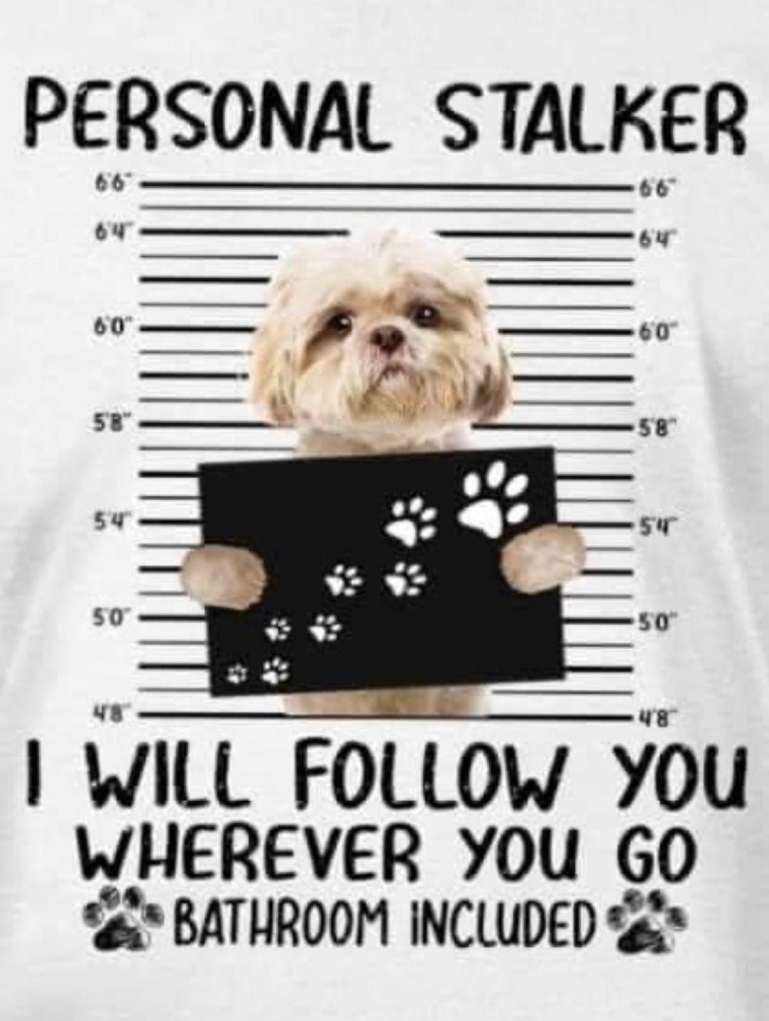 PERSONAL STALKER WILL FOLLOW You WHEREVER YOU GO BATHROOM INCLUDED g