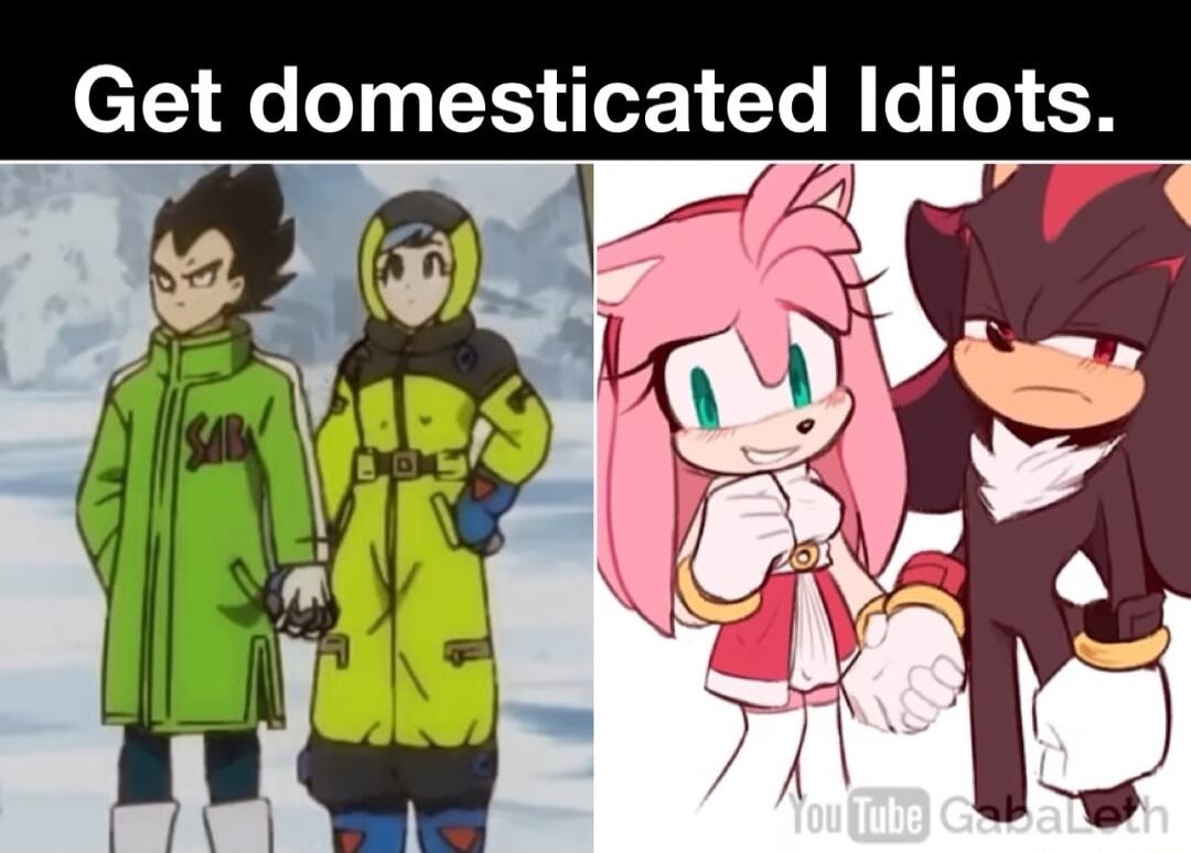 Get domesticated Idiots