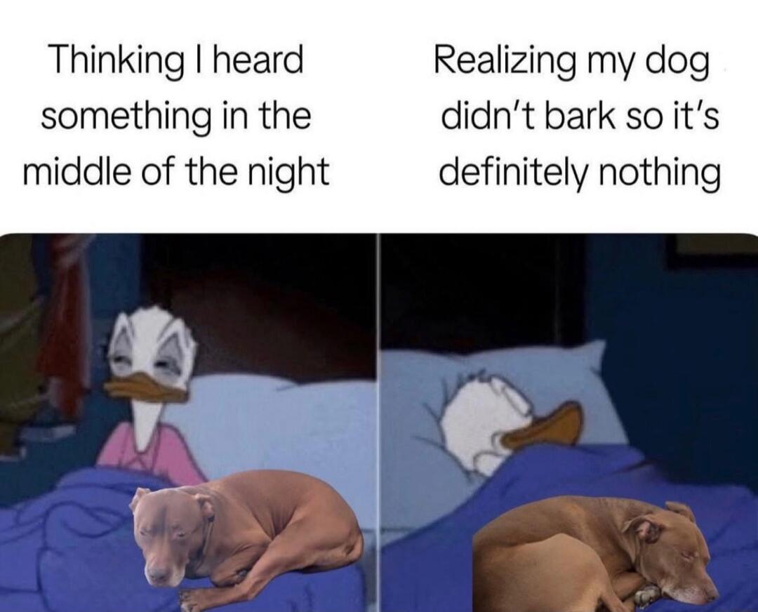 Thinking I heard something in the middle of the night
Realizing my dog didn’t bark so it’s definitely nothing