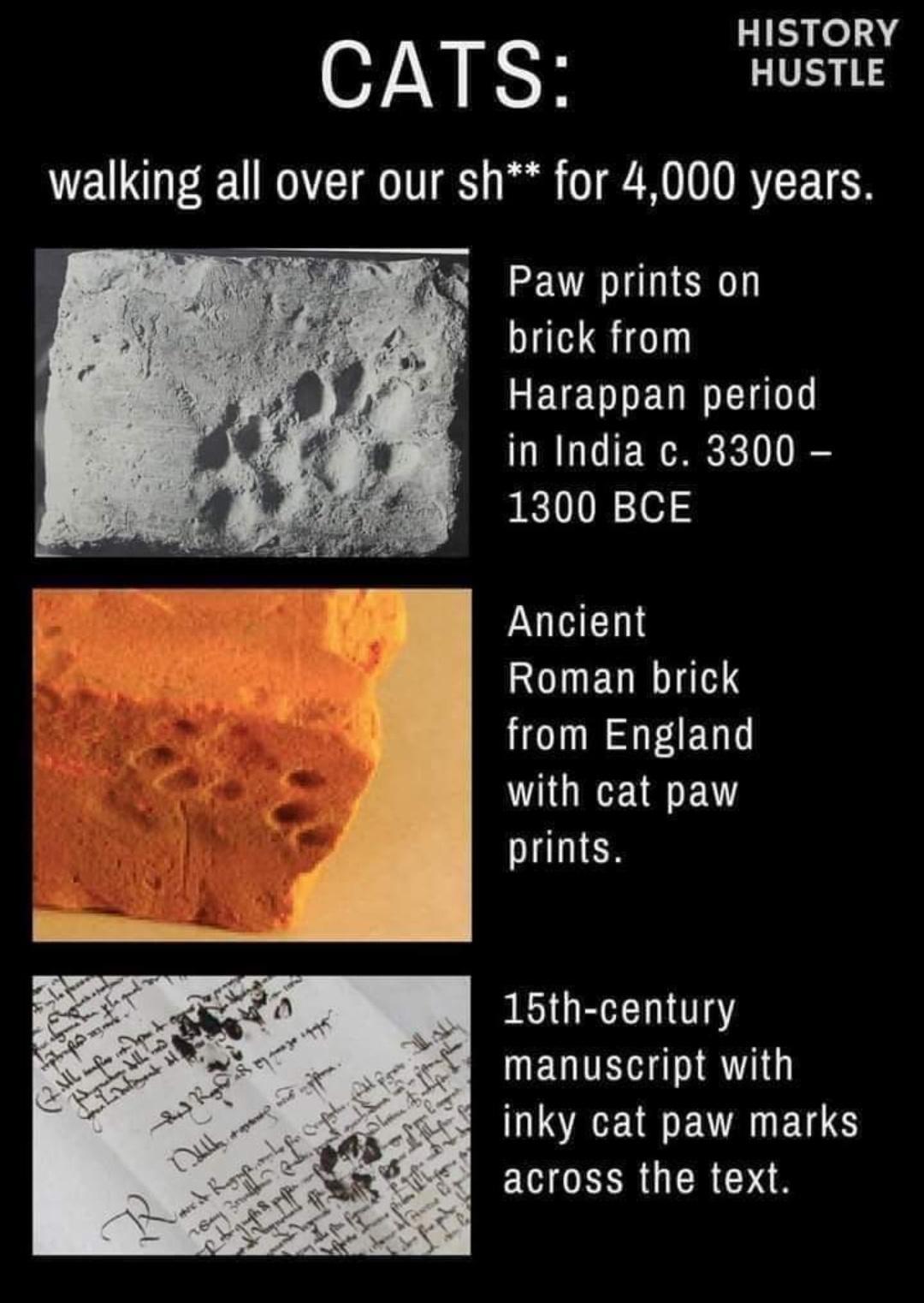 HISTORY CATS HUSTLE walking all over our sh for 4000 years Paw prints on brick from EVEVIEUREIDT in India 3300 1300 BCE Ancient Roman brick HOTE A EN D T A A prints 15th century MEGQITEH IR o UV EV RN ETE BEVOLERUCR S