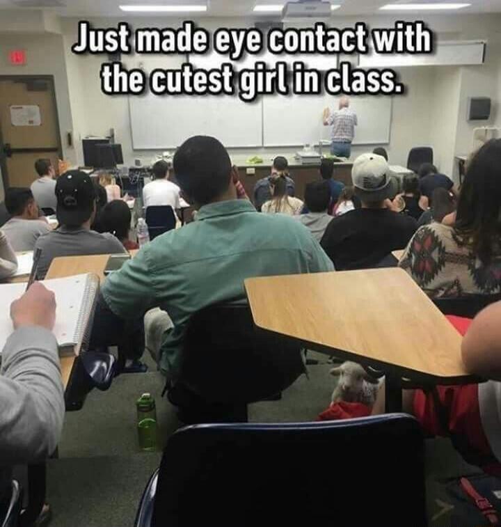 Just made eye contact with the cutest girl in class.