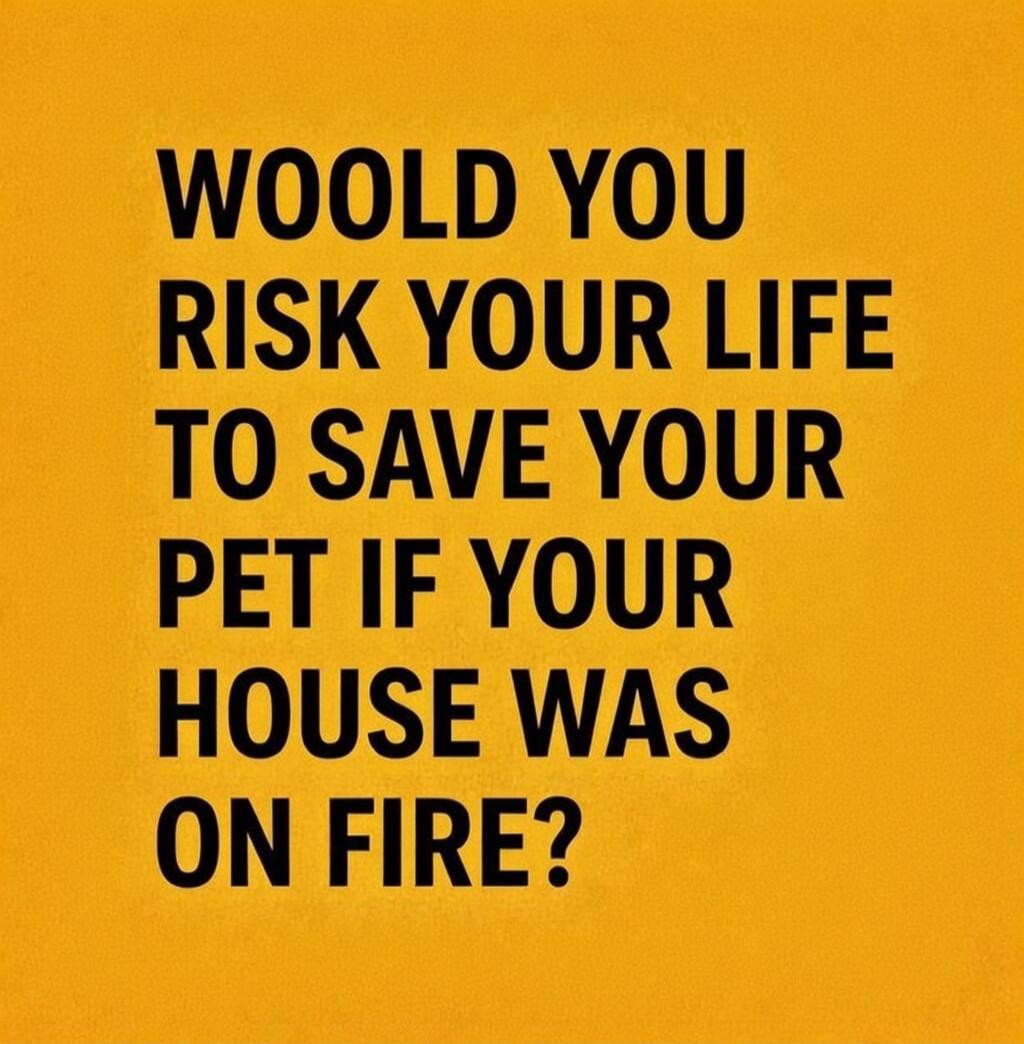 WOULD YOU RISK YOUR LIFE TO SAVE YOUR PET IF YOUR HOUSE WAS ON FIRE?