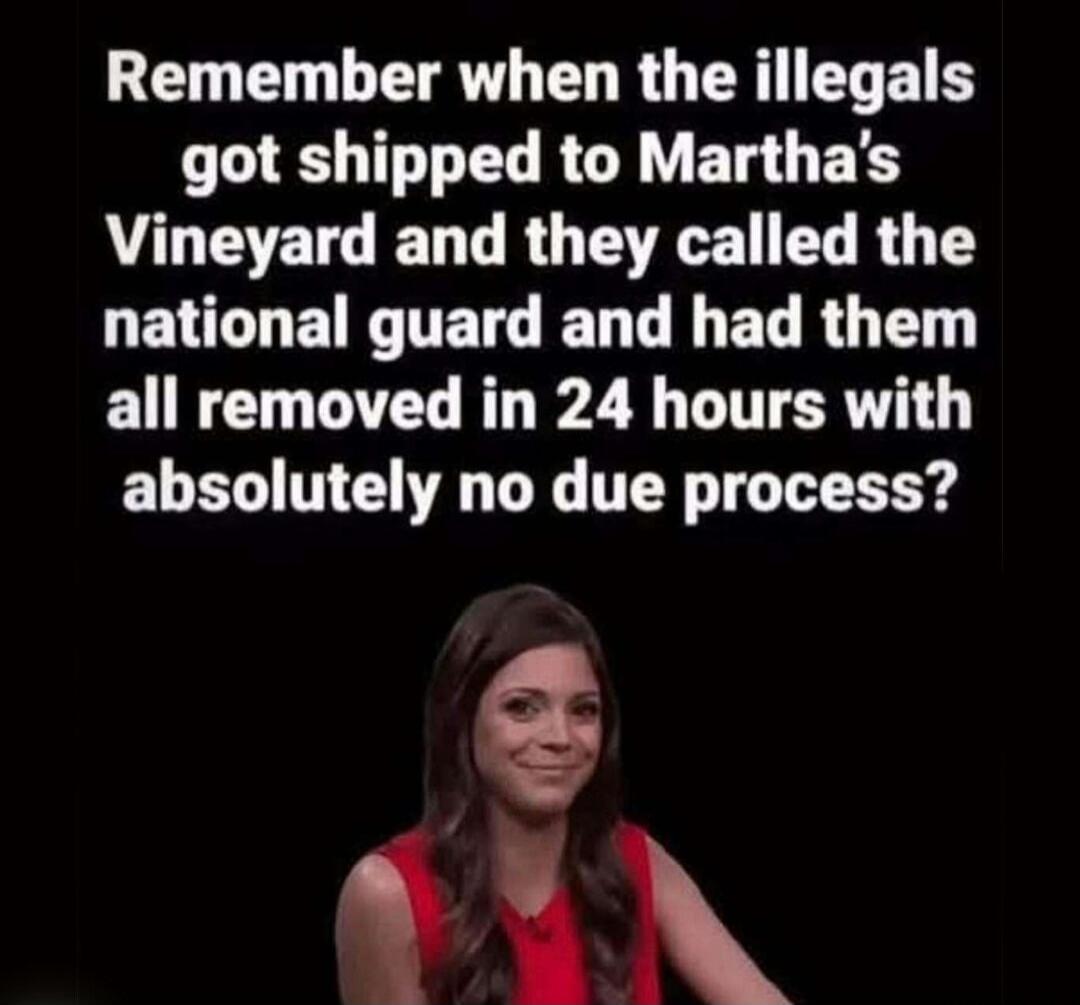 Remember when the illegals got shipped to Martha's Vineyard and they called the national guard and had them all removed in 24 hours with absolutely no due process?