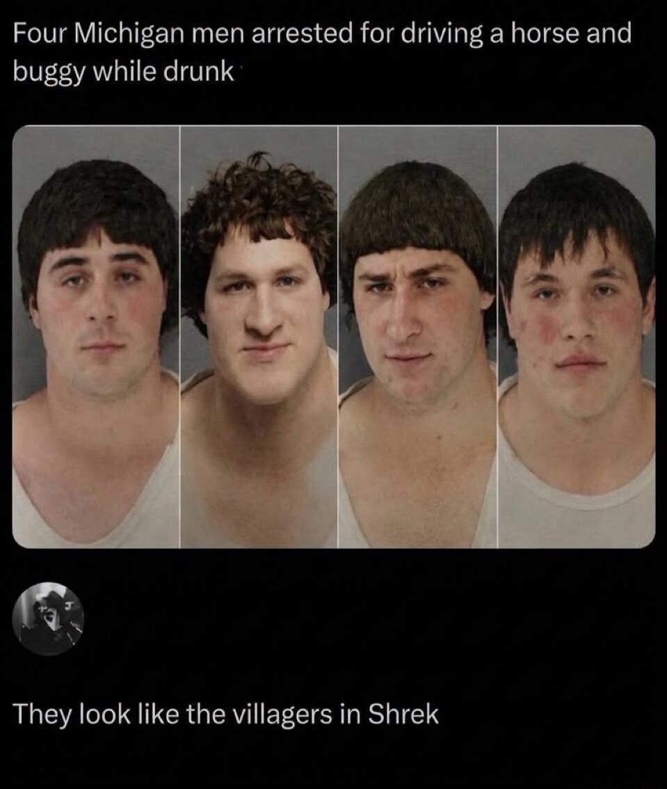 Four Michigan men arrested for driving a horse and buggy while drunk. They look like the villagers in Shrek.