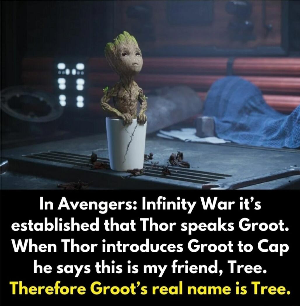 In Avengers Infinity War its established that Thor speaks Groot When Thor introduces Groot to Cap he says this is my friend Tree Therefore Groots real name is Tree