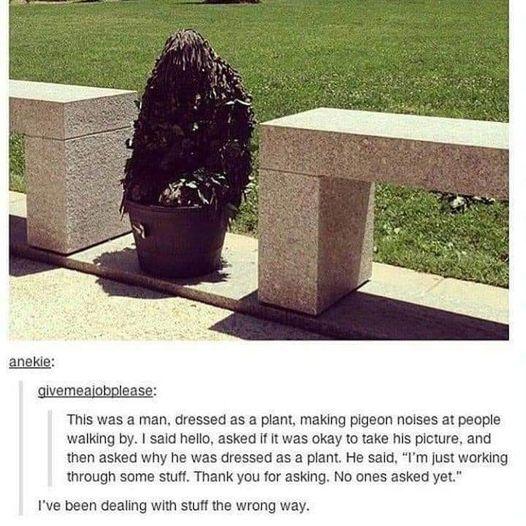 aneke jvem lease This was a man dressed as a plant making pigeon noises at people walking by said hello asked If it was okay to take his picture and then asked why he was dressed as a plant He said Im just working through some stuft Thank you for asking No ones asked yet Ive been dealing with stuff the wrong way