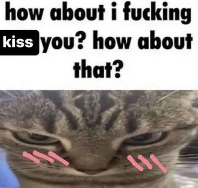 how about i fucking Yyou how about