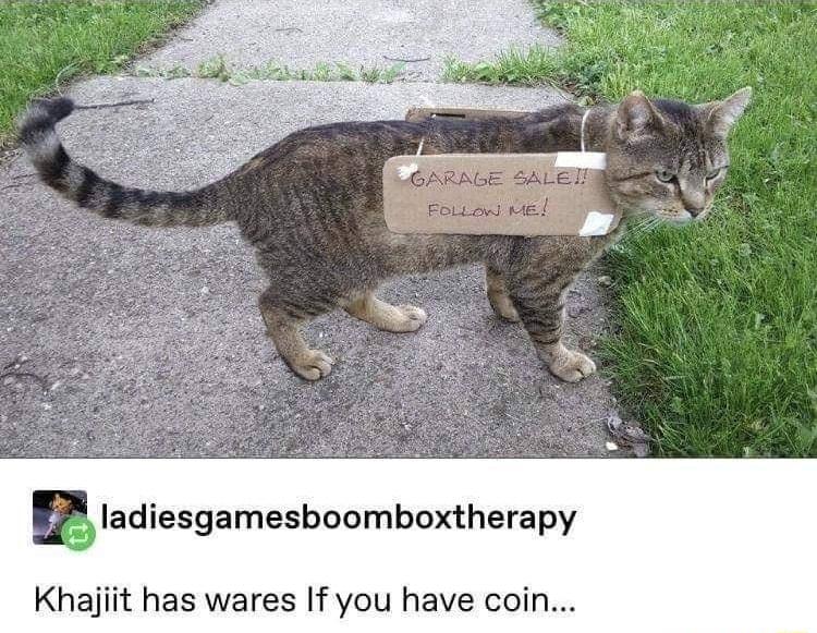 ladiesgamesboomboxtherapy Khajiit has wares If you have coin