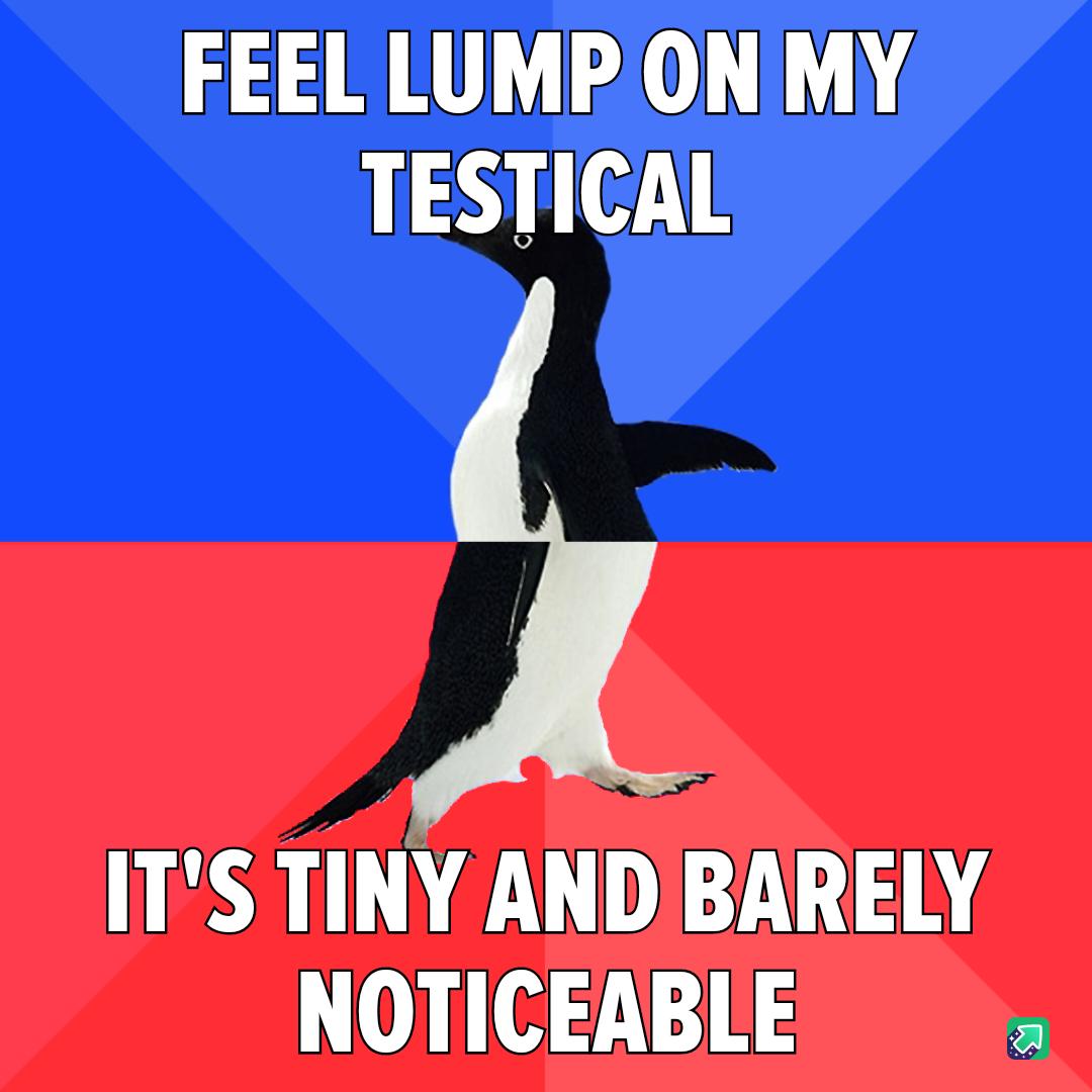 FEEL LUMP ON MY TESTICAL ITS TINY AND BARELY 011 71 1 S