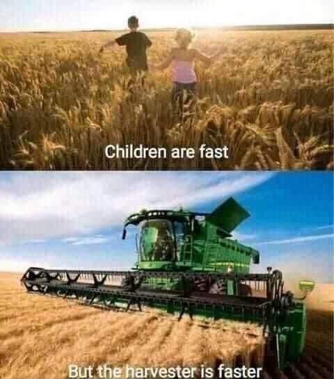Children are fast But thelharvester is faster