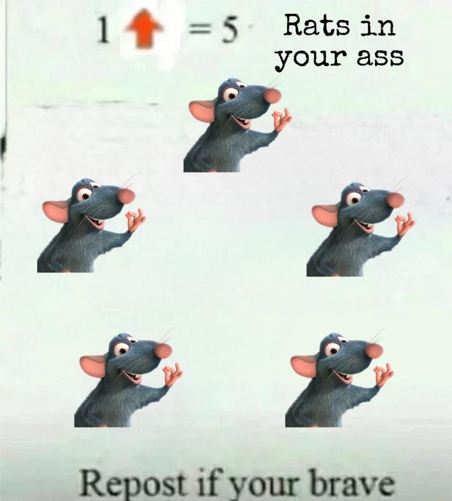14 5 Ratsin your ass S r Repost if vour brave