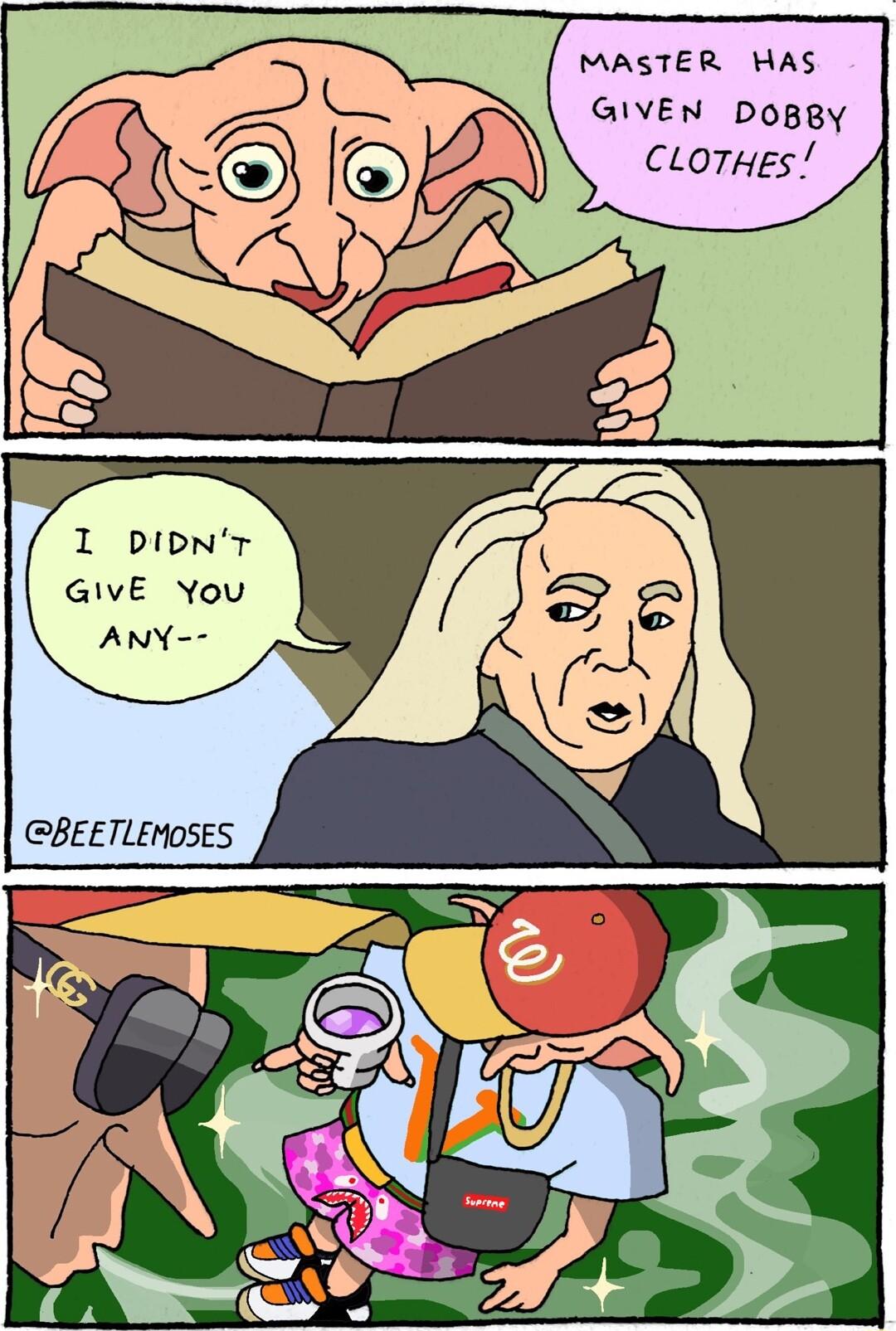 MASTER HAS GIVEN DOBBY CLOTHES