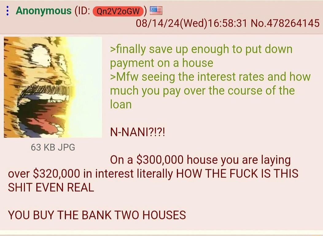Anonymous ID R2VESEHD 081424Wed165831 No478264145 finally save up enough to put down payment on a house Mfw seeing the interest rates and how much you pay over the course of the loan N NANI 63KB PG 0n a 300000 house you are laying over 320000 in interest literally HOW THE FUCK IS THIS SHIT EVEN REAL YOU BUY THE BANK TWO HOUSES