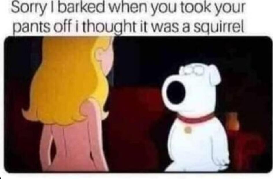 Sorry I barked when you took your pants off i thought it was a squirrel