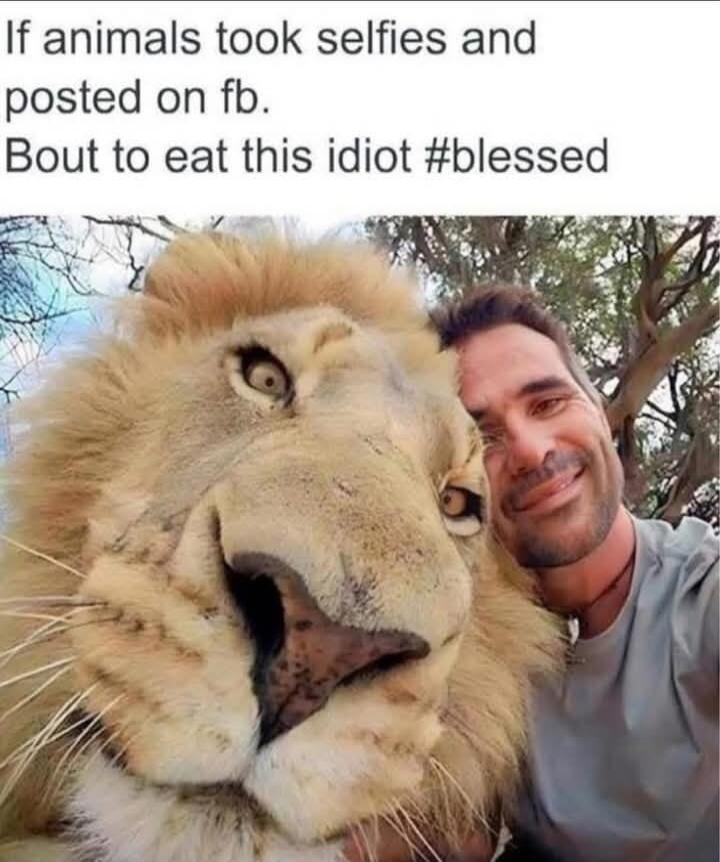 If animals took selfies and posted on fb. Bout to eat this idiot #blessed