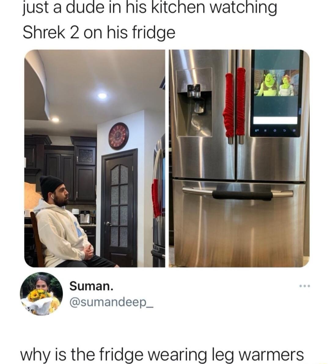 Just a dude In his Kitchen watching Shrek 2 on his fridge sumandeep_ why is the fridge wearing leg warmers
