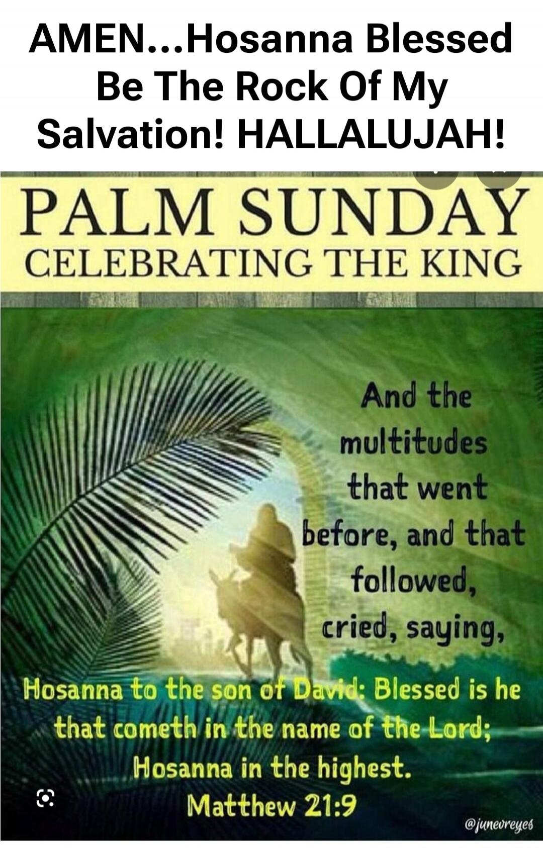 AMEN...Hosanna Blessed Be The Rock Of My Salvation! HALLALUJAH! PALM SUNDAY CELEBRATING THE KING And the multitudes that went before, and that followed, cried, saying, Hosanna to the son of David: Blessed is he that cometh in the name of the Lord; Hosanna in the highest. Matthew 21:9