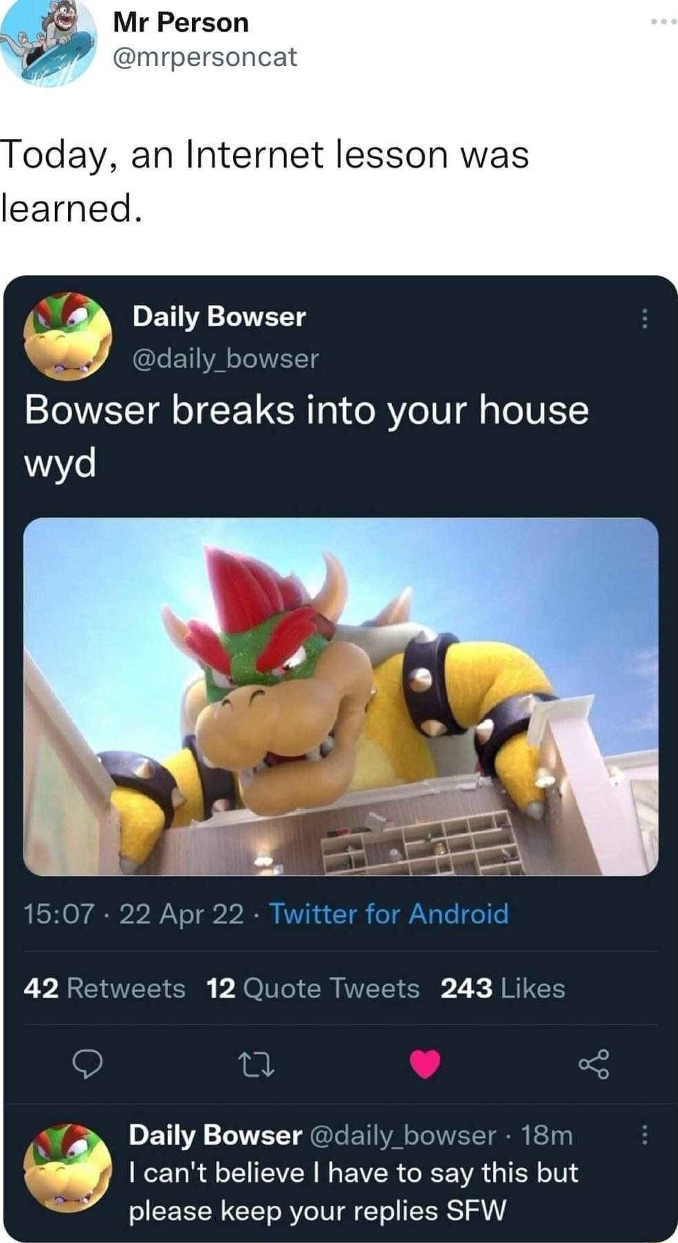 Mr Person mrp oday an Internet lesson was learned WA VERT Y ly Y daily_bowser Bowser breaks into your house 3 PRSIV GRS ARG 18m KT R VR N VR GREE VA G TR please keep your replies SFW