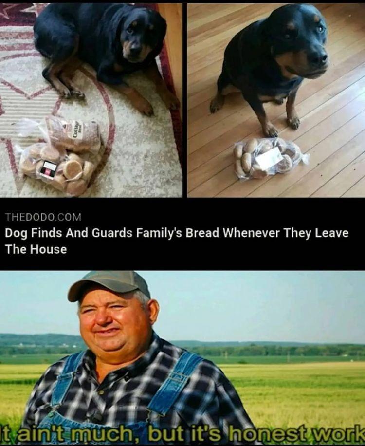 HEDODOCOM DEITRSNT ERAN T RETETE B T HISY TEET RO T TV Y o G TR RV The House