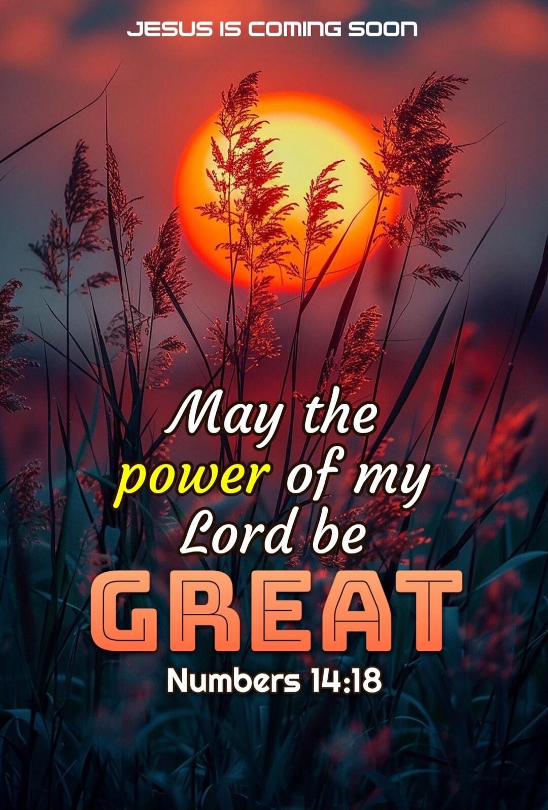 JESUS IS COMING SOON. May the power of my Lord be GREAT. Numbers 14:18.