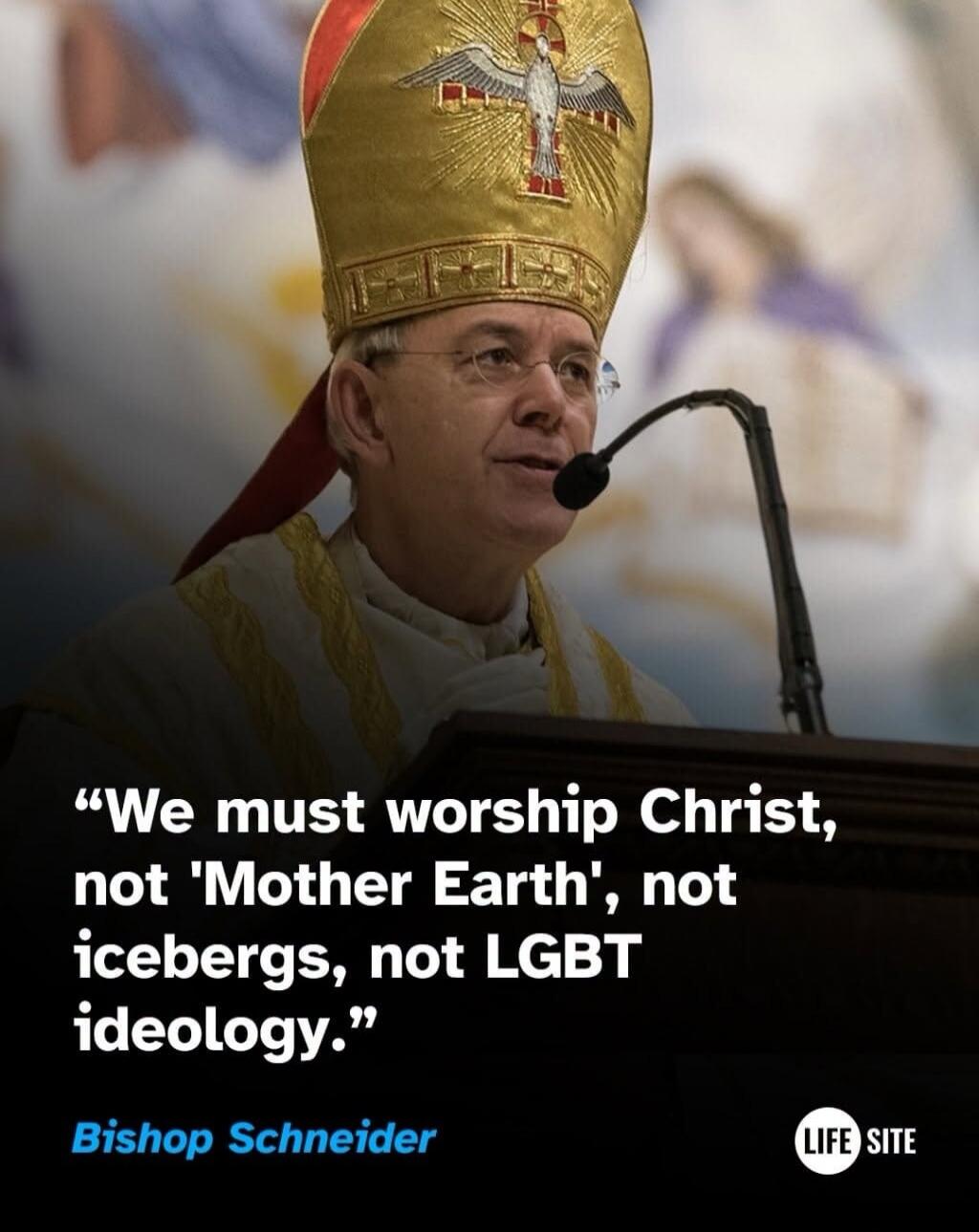 We must worship Christ, not 'Mother Earth', not icebergs, not LGBT ideology. Bishop Schneider. LIFE SITE.