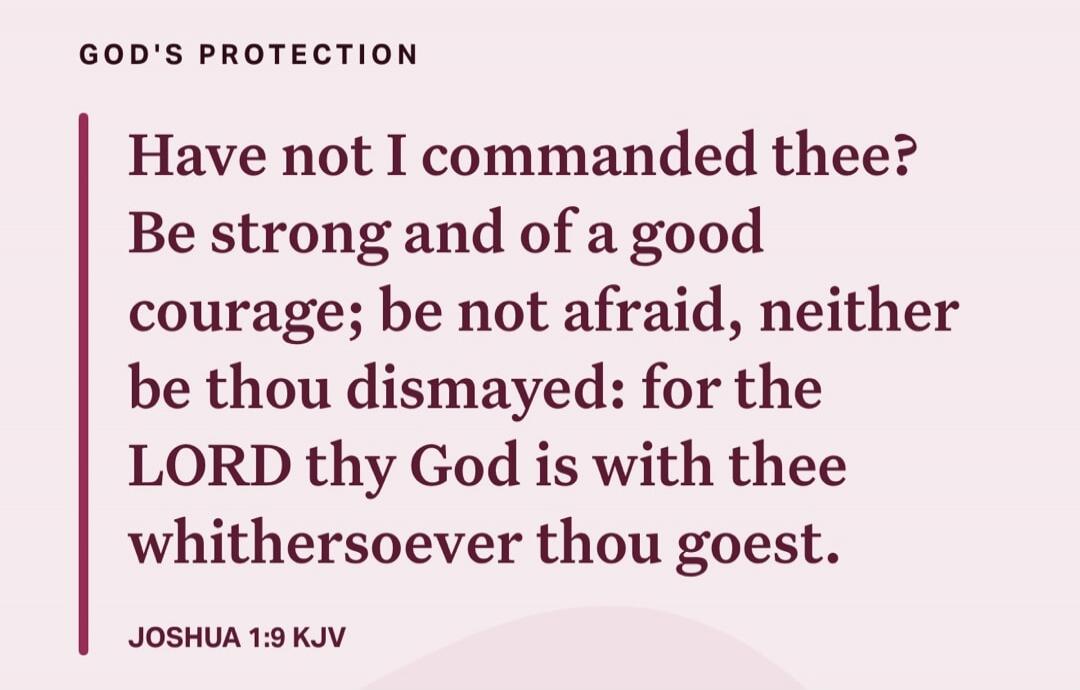 GOD'S PROTECTION

Have not I commanded thee? Be strong and of a good courage; be not afraid, neither be thou dismayed: for the LORD thy God is with thee whithersoever thou goest.

JOSHUA 1:9 KJV
