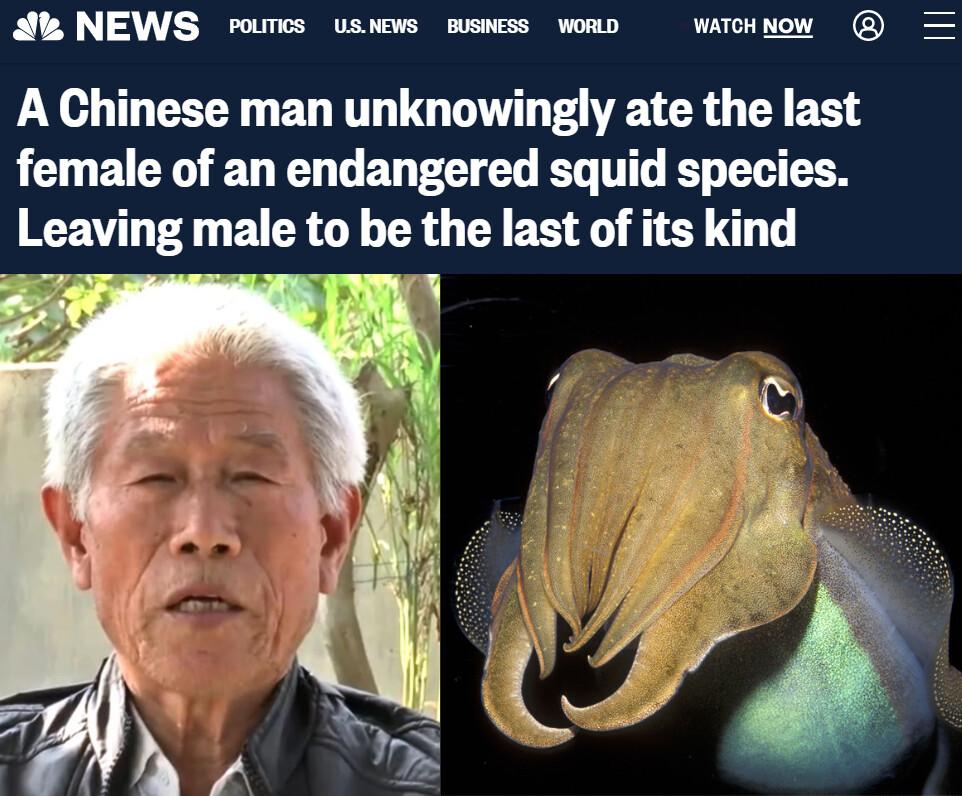 A NEWS roumcs uswews sswess womp waroknow A Chinese man unknowingly ate the last female of an endangered squid species Leaving male to be the last of its kind L 7T