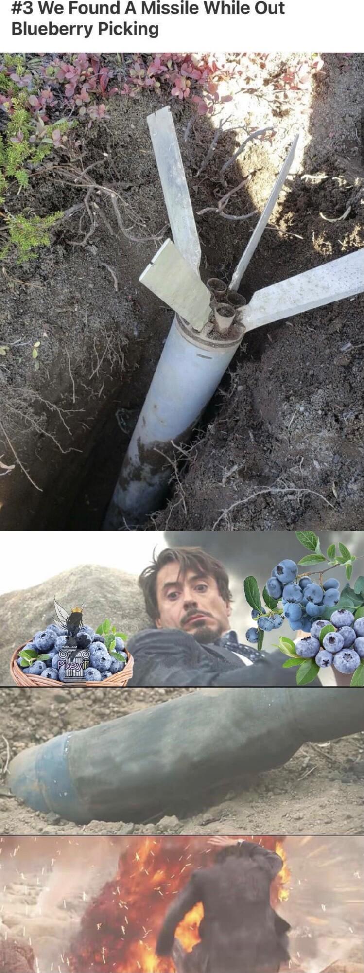 3 We Found A Missile While Out Blueberry Picking