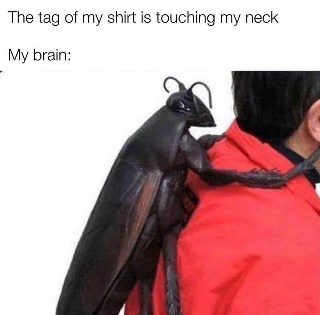 The tag of my shirt is touching my neck My brain