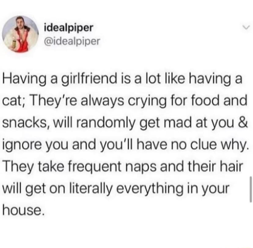 idealpiper idealpiper Having a girlfriend is a lot like having a cat Theyre always crying for food and snacks will randomly get mad at you ignore you and youll have no clue why They take frequent naps and their hair will get on literally everything in your house