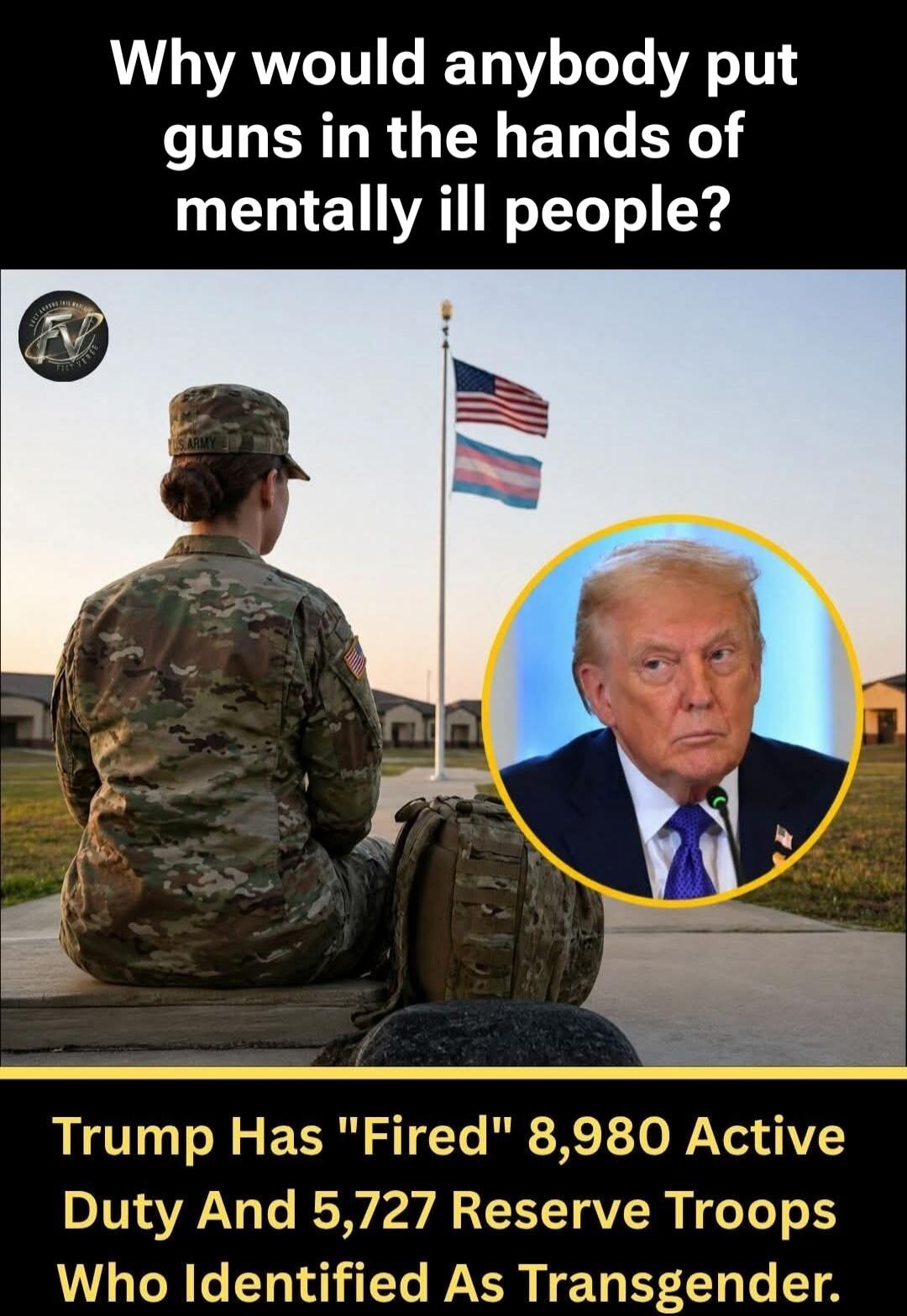 Why would anybody put guns in the hands of mentally ill people? US ARMY FACT VERGE Trump Has 