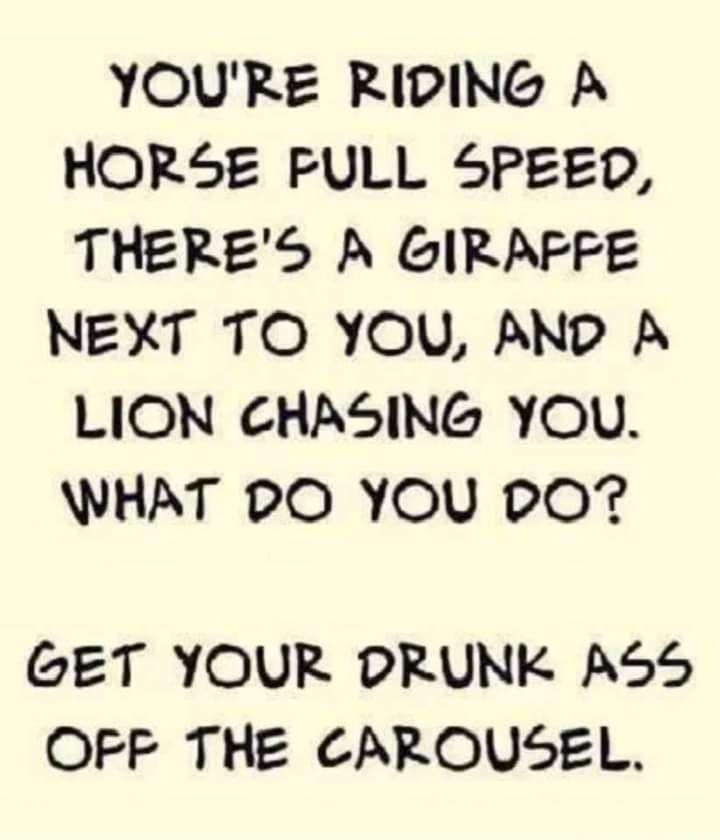 YOURE RIPING A HORSE FULL 5PEED THERES A GIRAFFE NEXT TO YOU AND A LION CHASING YOU WHAT PO YOU PO7 GET YOUR DRUNK AS5 OFF THE CAROUSEL