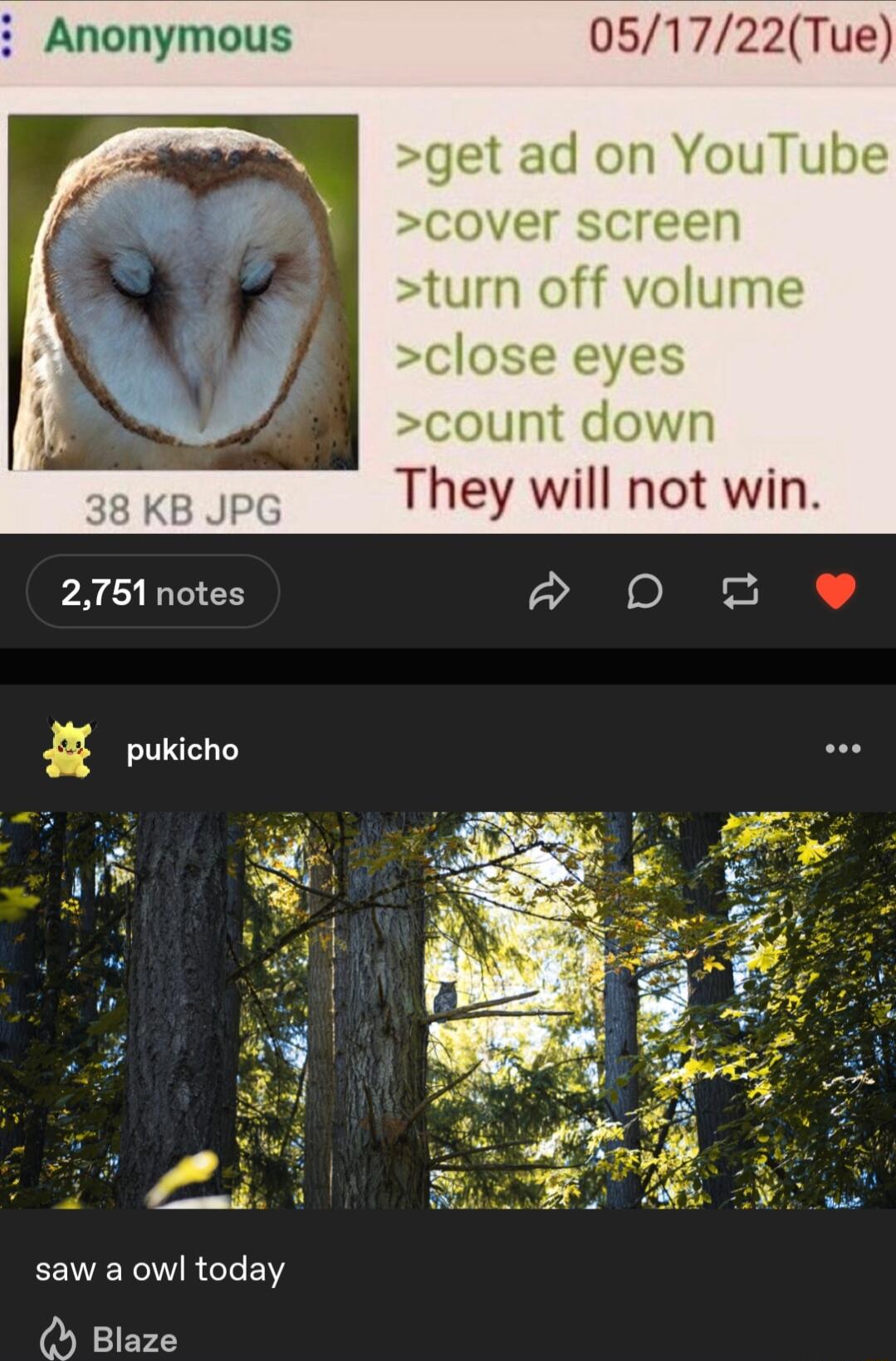 Anonymous 051722Tue get ad on YouTube cover screen turn off volume close eyes count down They will not win 2751 notes P D D 2 pukicho saw a owl today O Blaze