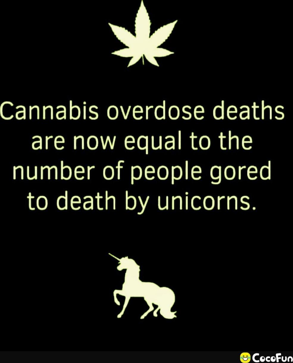 Cannabis overdose deaths are now equal to the number of people gored to death by unicorns.